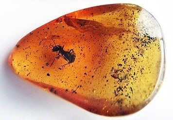 [Translate to English:] Quarz